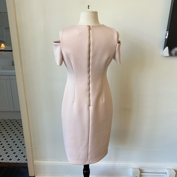 Calvin Klein Blush Midi Bodycon Dress - Picture 5 of 8